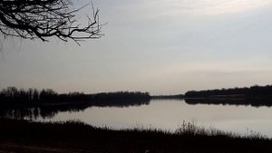 Дорога к силе природы. Музыка. Шаманский бубен.