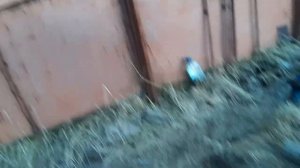 Каменс как снять поддон