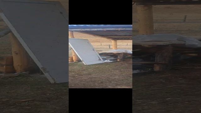 охота и рыбалка