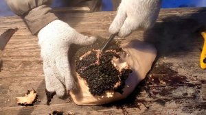 Варю и чищу кору на капах