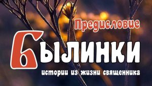 БЫЛИНКИ. Предисловие