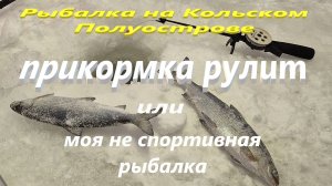 Рыбалка на Кольском Полуострове.  Рыбалка в Мончегорске.  Рыбалка  на озере Имандра.