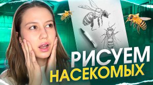 РИСУЕМ НАСЕКОМЫХ (ПЧЕЛУ)