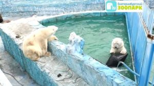 Прогулка по Екатеринбургскому зоопарку, часть 10