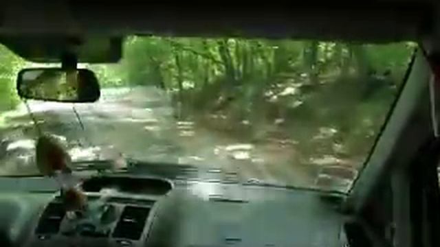 Серпантин смотреть онлайн