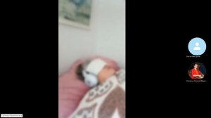 чистка 3в1 гипнолог,слиппер и клиент