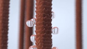 Рекламный видеоролик краски для волос C:EHKO/Портфолио SOLO PRO