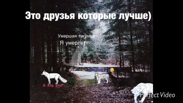 Это треллер ЕСЛИ ЭТО ВИДИО НАБЕРЁТ 10 ЛАЙКОВ тогда выйдет сериал)) смотреть онлайн