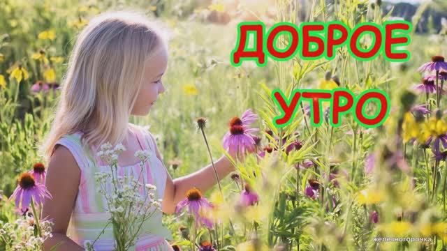 Доброе утро. Добрые пожелания хорошего дня и удачи!