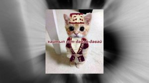 фанис султангулов - кайтып кит давай-давай (sped up)