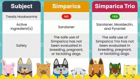 Simparica vs Simparica Trio