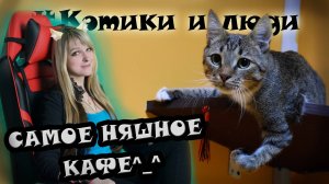 ОБЗОР НА КОТОКАФЕ 'КОТИКИ И ЛЮДИ'