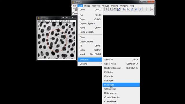 BII ImageJ - Selection 08. Selection sub menu 1 смотреть онлайн