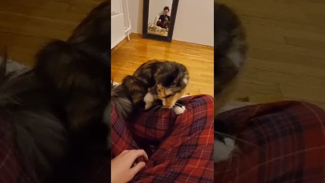 1000002968.mp4