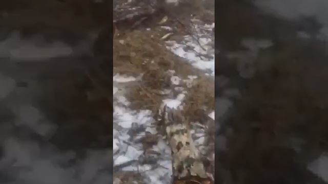 22 марта 2020 г. смотреть онлайн