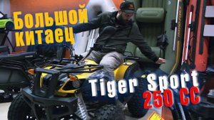 НЕДОРОГИЕ КВАДРОЦИКЛЫ: Обзор Tiger Sport 250. Чем он отличается от Wels, Avantis, Motoland?