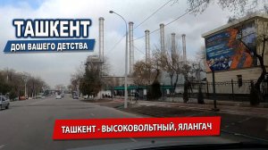 ВЫСОКОВОЛЬТНЫЙ. ЯЛАНГАЧ. #узбекистан #ташкент #сегодня #базар #уличнаяеда