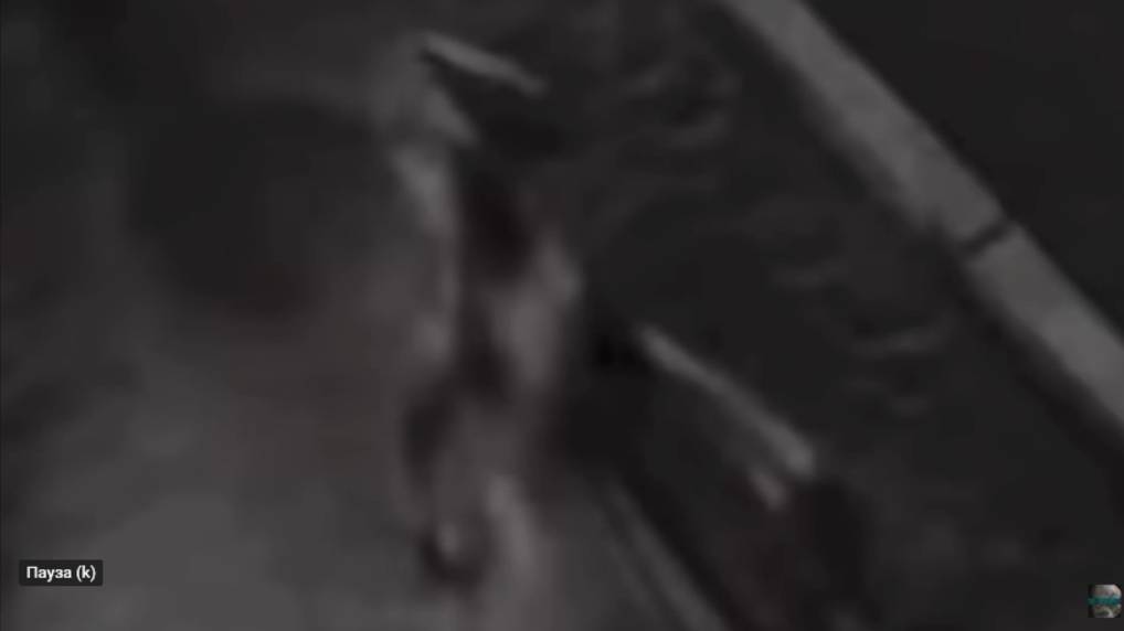 Инопланетяне в Торговом центре в Майами декабрь 2023 смотреть онлайн