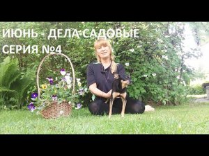 Июнь - дела садовые серия №4