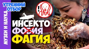 Инсектофагия. Съедобные насекомые. Есть или не есть? Игорь Фадеев