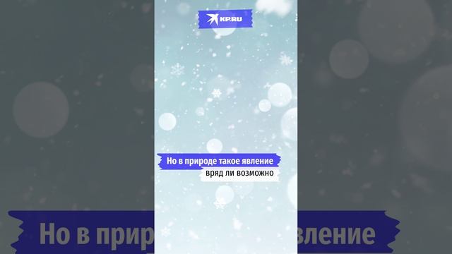 Правда, что двух одинаковых снежинок не бывает?