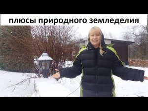 Плюсы природного земледелия.