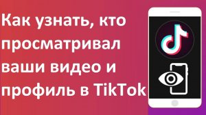 Как узнать, кто просматривал ваши видео и профиль в TikTok