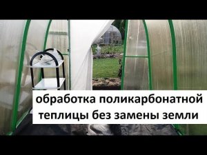 Обработка поликарбонатной  теплицы без замены земли.