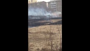 АРХИВ/Пожар/ЗИЛ-130 АЦ-40/Тушение горящей травы