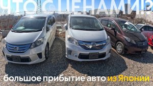 БОЛЬШОЕ ПРИБЫТИЕ АВТО ИЗ ЯПОНИИСТОЯНКИ БИТКОМЦЕНА ОТ 800 ТЫСЯЧ РУБЛЕЙ⁉️FREED STEPWGN FORD MAZDA