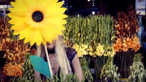 Jenny and The Mexicats - Flor (Vídeo Oficial)