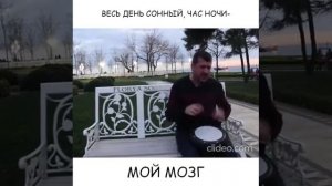 Мой мозг