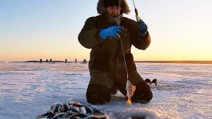ЛОВИМ ОКУНЯ В МОРОЗ!НЕ УСПЕВАЮ ОТПУСТИТЬ БЛЕСНУ, СРАЗУ КЛЮЕТ#окуньзимой#первыйлед