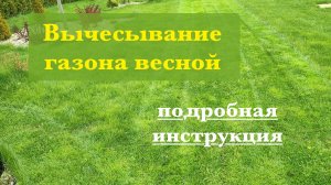 Скарификация газона весной. Пошаговая инструкция. Вертикуляция, скарификация, аэрация газона.