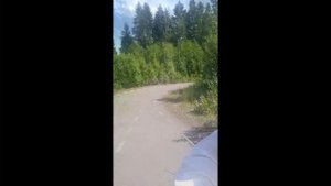 Лыжероллерные спуски центр Карпово Вологодская обл