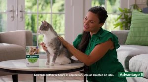 How to Apply Advantage® II to Your Cat
