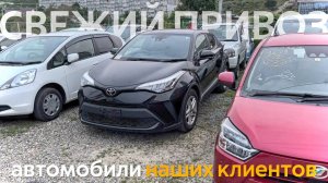 АВТОМОБИЛИ ОТ 600.000₽❗️ЧТО ПОКУПАЮТ В УСЛОВИЯХ САНКЦИЙ⁉️АВТОМОБИЛИ НАШИХ КЛИЕНТОВ❗️