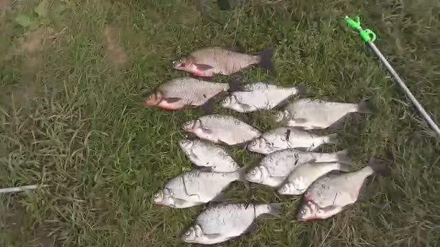 Отдых и рыбалка на БЕЛОЯРКЕ. смотреть онлайн