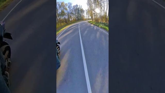 Вечерус прохватус