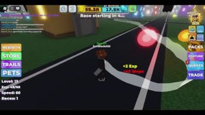 Роблокс Легенды о Скорости