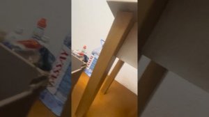 Мой новый питомец . Кузнечик ;)￼