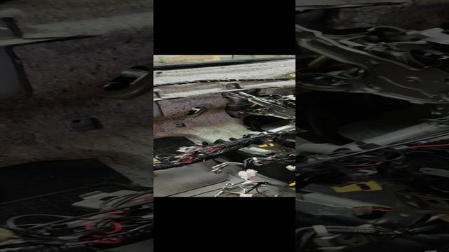 1000138161.mp4