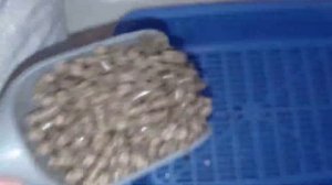 Наполнитель 15 кг сосновый впитывающий для кошек, грызунов гранула для туалетов,пеллета из древесин