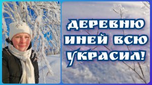 Такое можно увидеть только в деревне ранним утром зимой! Вышла полюбоваться зимним серебром – инеем❄