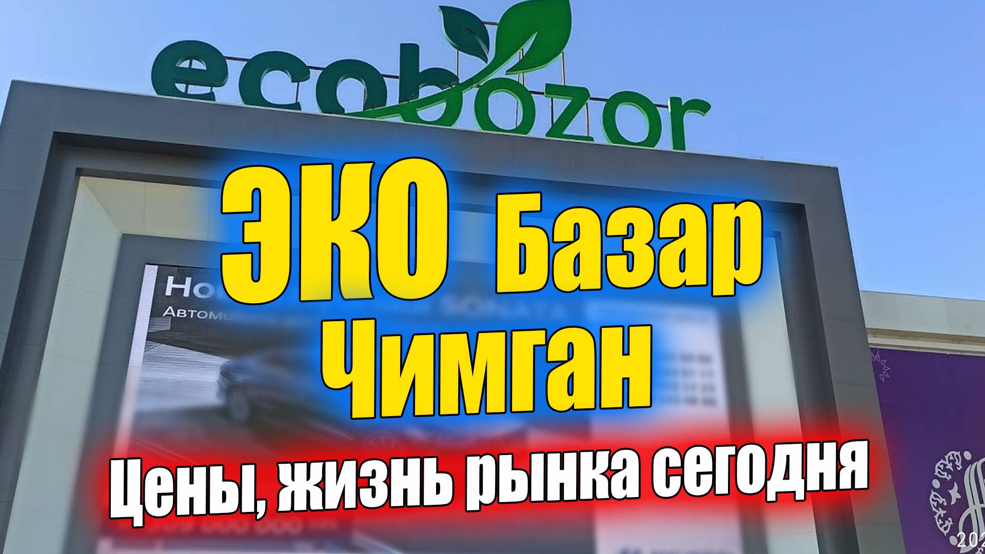 ЭКО БАЗАР НА ЧИМГАНЕ. ТАШКЕНТ СЕГОДНЯ. #узбекистан #ташкент #базар #экобазар #чимган #краснаяикра