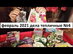 Февраль 2021  дела тепличные  №4.