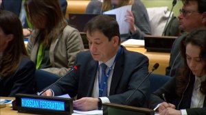 Statement by First DPR Dmitry Polyanskiy at a UNSC “Arria Formula” meeting