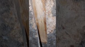 Гниёт ли брусок залитый арболитом? Отвечу на этот вопрос.