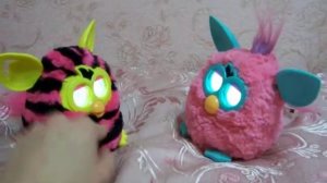 Ферби бум (Furby boom) и Ферби общаются!