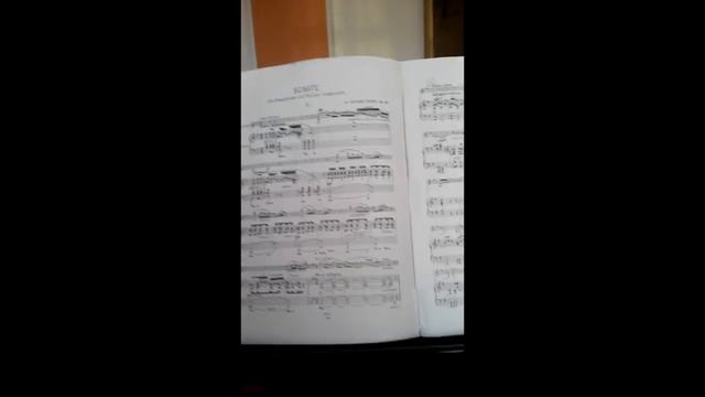 SONATA смотреть онлайн